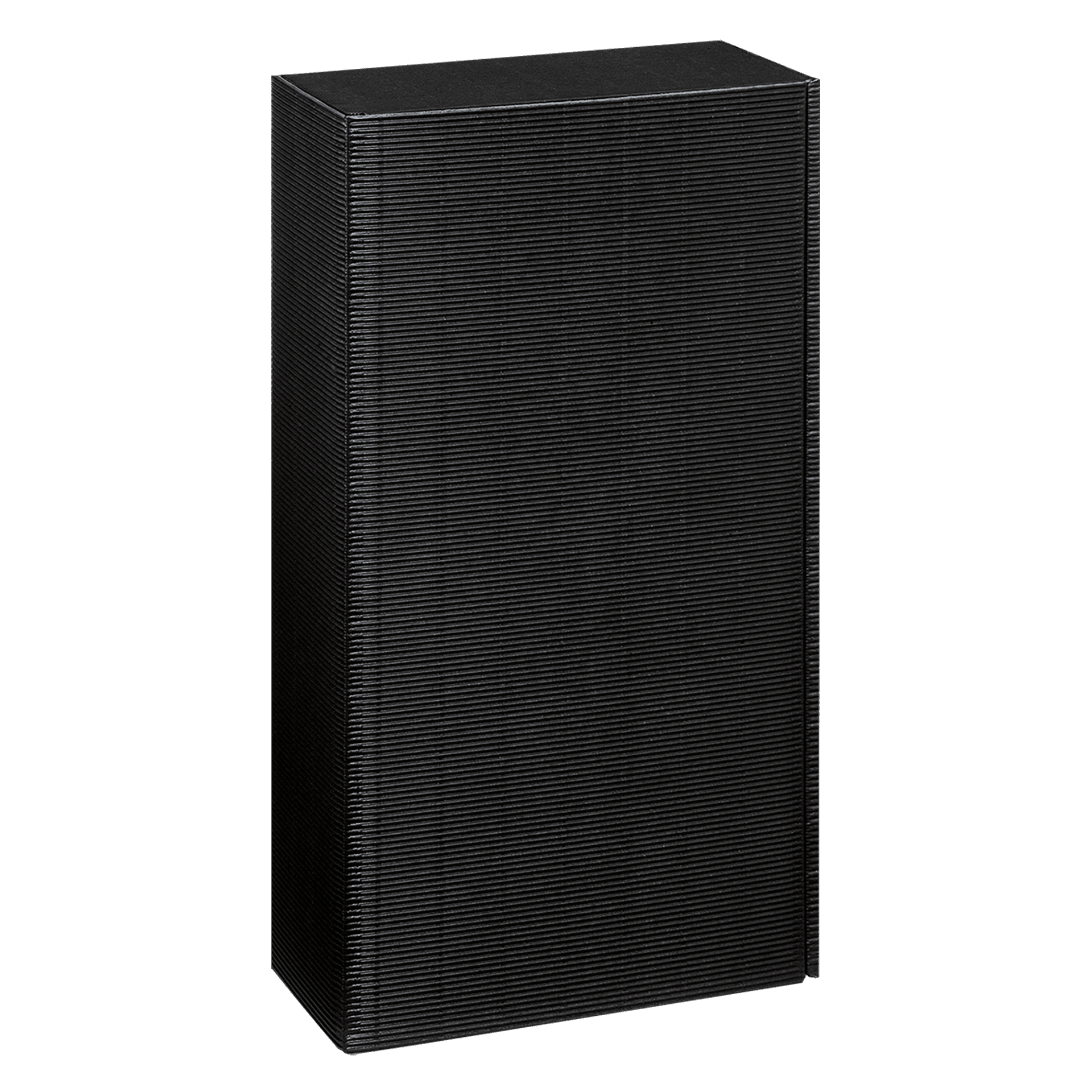 Präsentkarton - Schwarz - 2 x 0,75 l