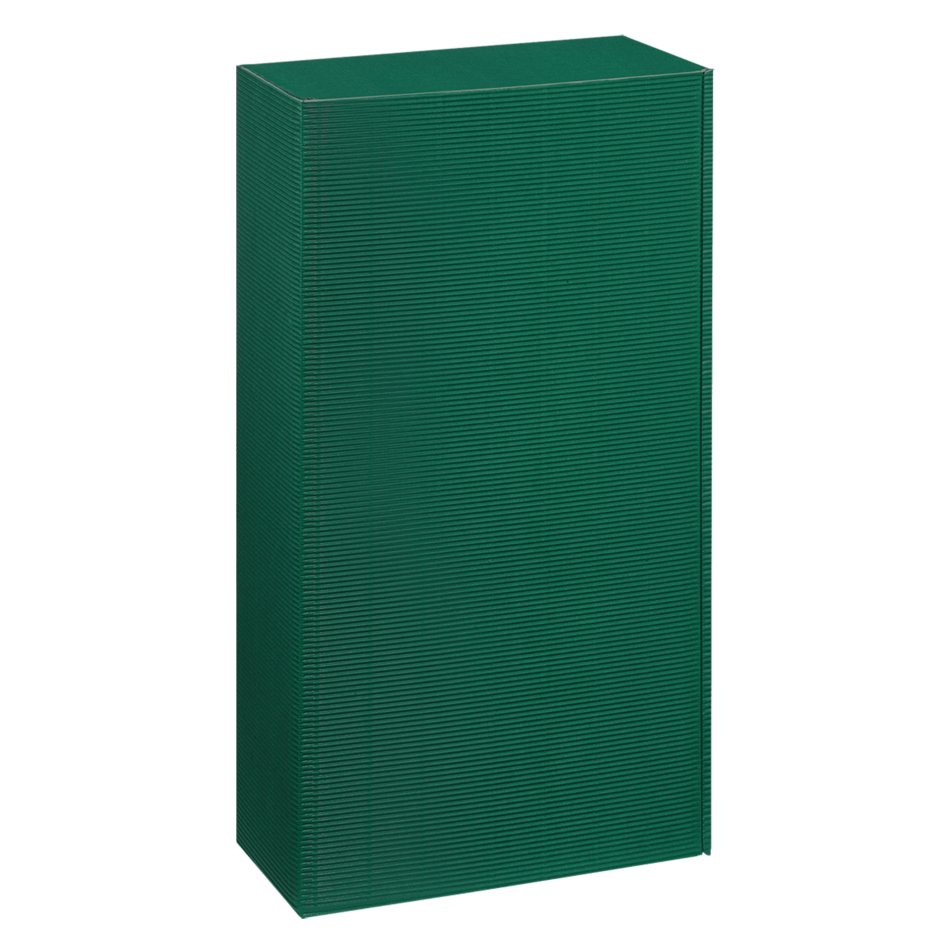 Präsentkarton - Grün - 2 x 0,75 l