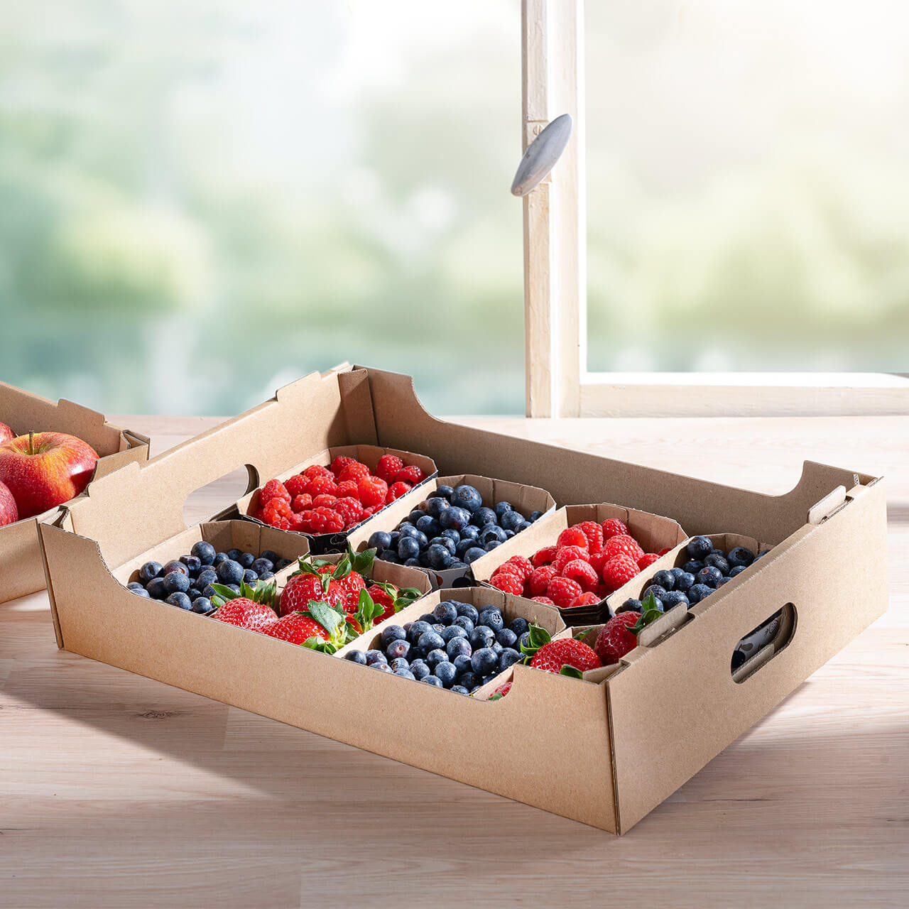 Krempelsteige für 1,5kg Obst und Gemüse sowie Beerenschalen